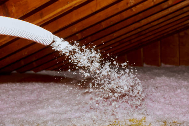 Best Spray Foam Insulation  in Evart, MI