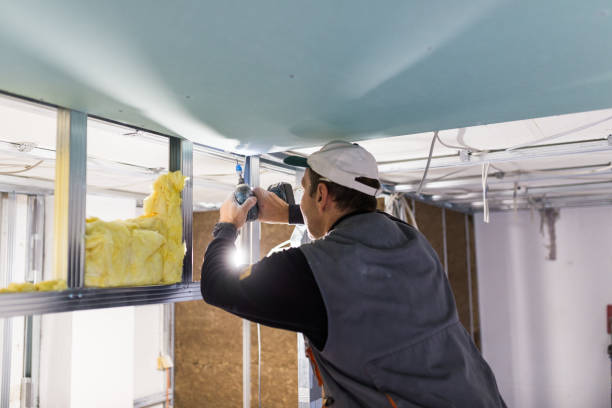 Best Energy-efficient Insulation  in Evart, MI