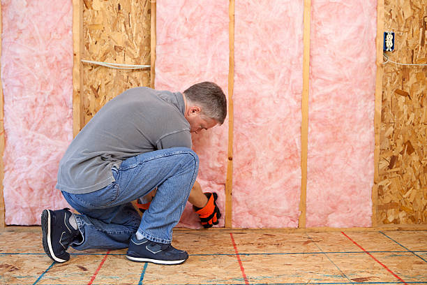 Best Wall Insulation Contractor  in Evart, MI