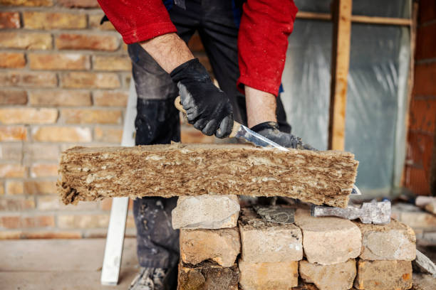 Best Insulation Contractors for Homes  in Evart, MI